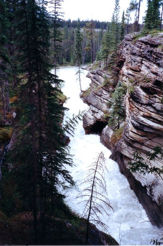 Athabasca Falls (Jasper National Park) - Canada