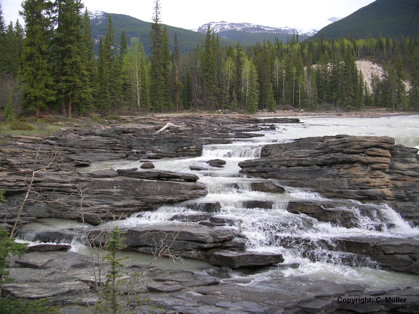 Athabasca Falls, Kanada