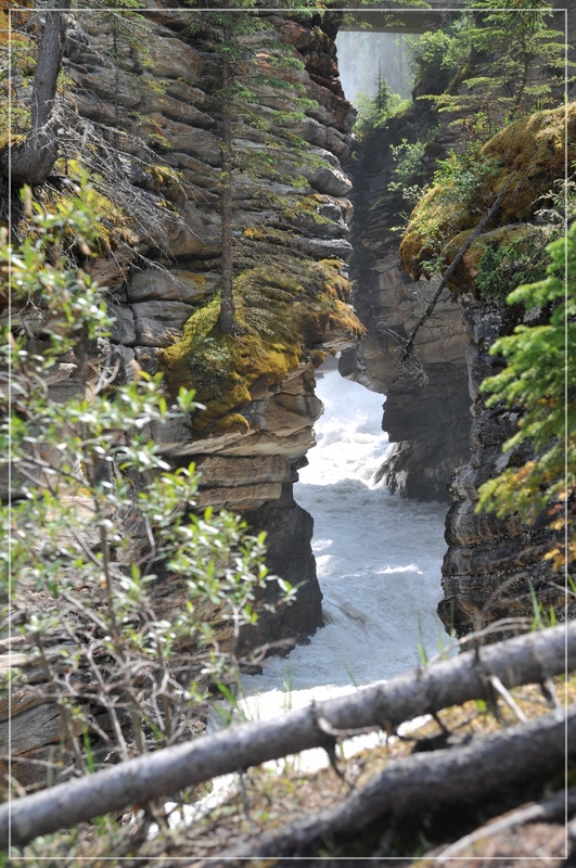 Athabasca Falls_5