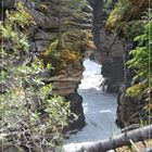 Athabasca Falls_5