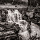 Athabasca Falls_sw