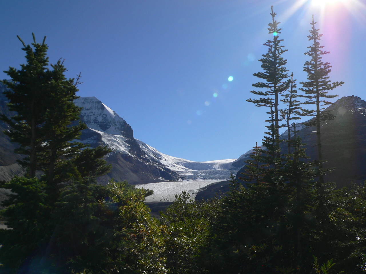 Athabasca Glacier