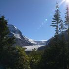 Athabasca Glacier