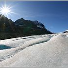 Athabasca Glacier