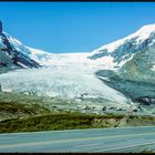 Athabasca Gletscher 1977