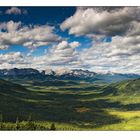 Athabasca Lookout