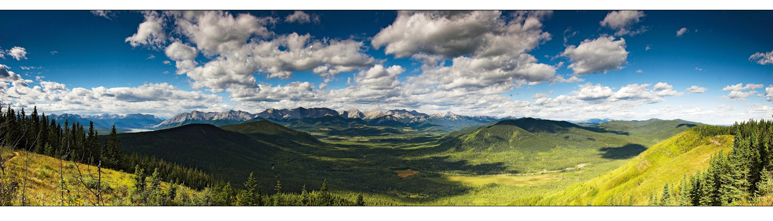 Athabasca Lookout