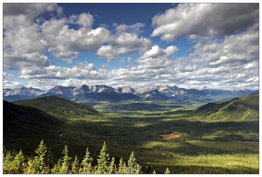 Athabasca Lookout