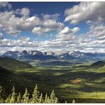 Athabasca Lookout