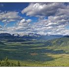 Athabasca Lookout: Panorama