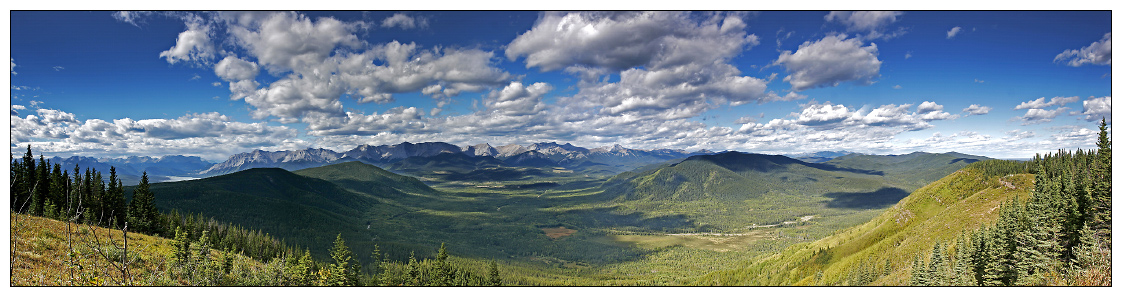 Athabasca Lookout: Panorama