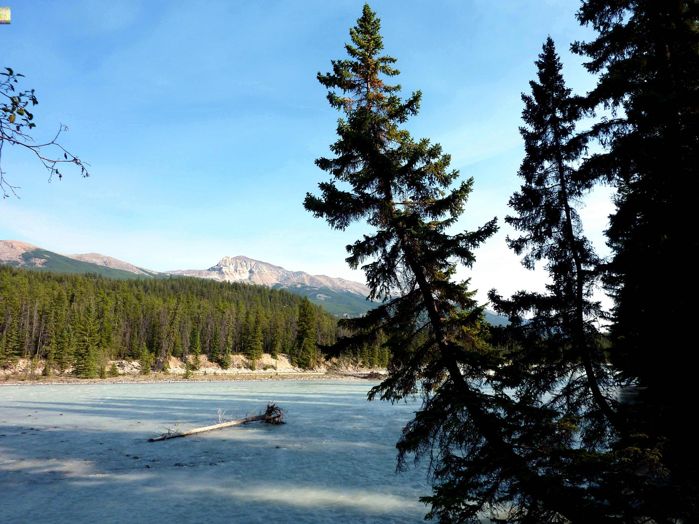 Athabasca River