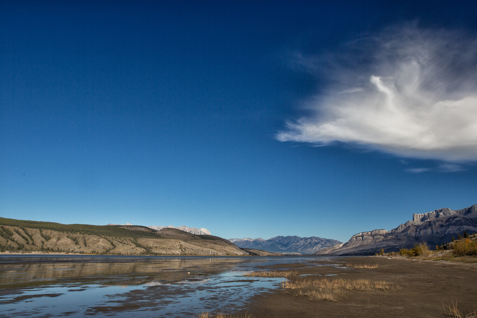 Athabasca River am Highway 16 Jasper Richtung Edmonton