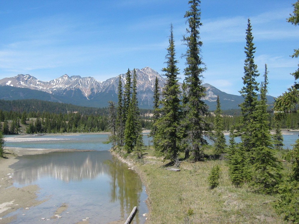 Athabasca River bei Jasper, Alberta (27.05.2005)