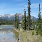 Athabasca River bei Jasper, Alberta (27.05.2005)