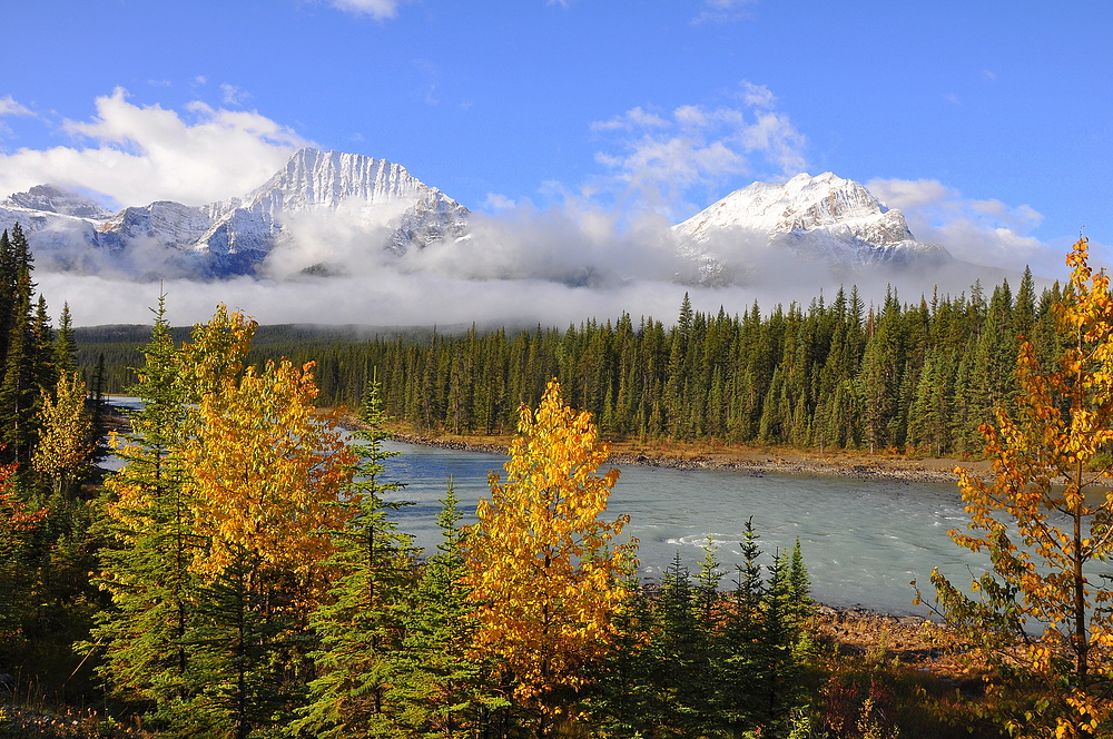 Athabasca River I