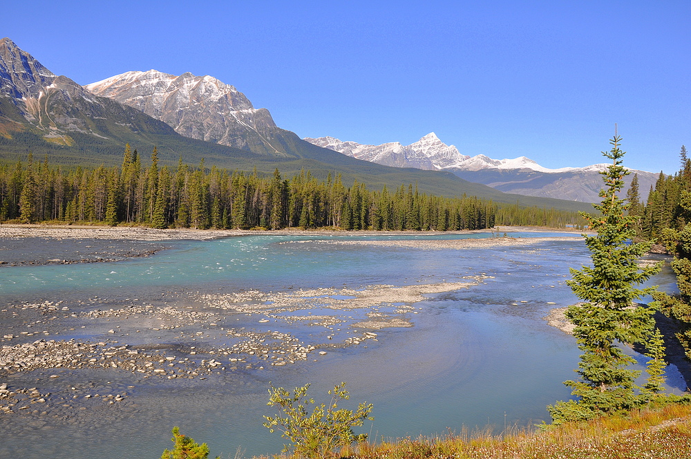 Athabasca River I