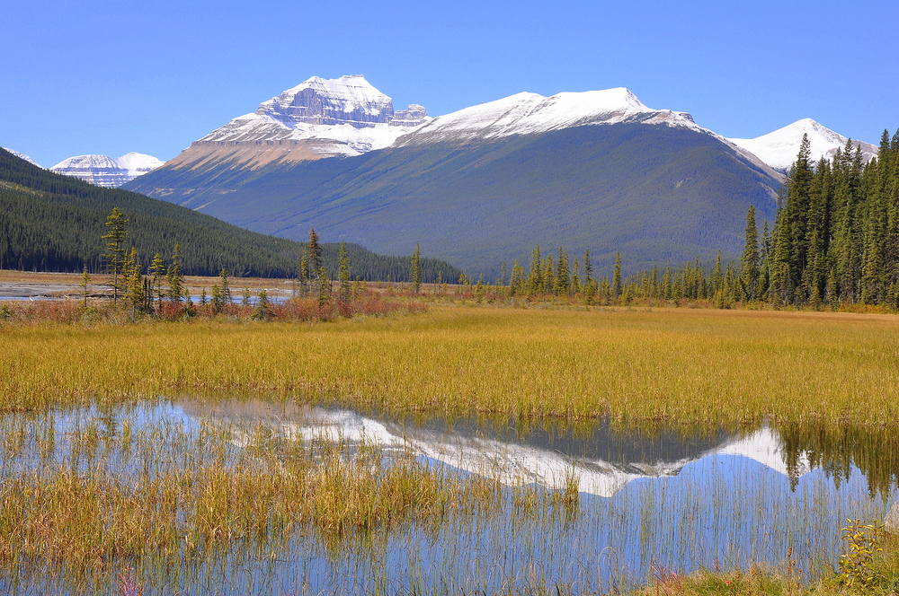 Athabasca River II