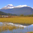 Athabasca River II