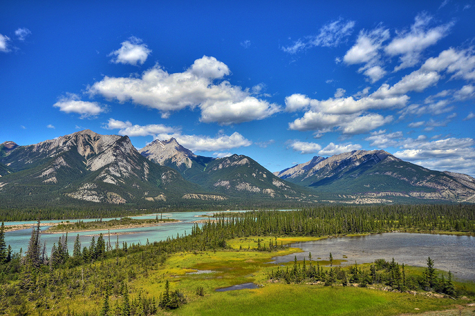 Athabasca River Jasper Nationalpark