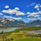 Athabasca River Jasper Nationalpark