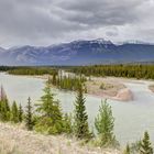 Athabasca River near Jasper