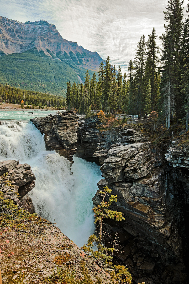 Athabasca Wasserfall