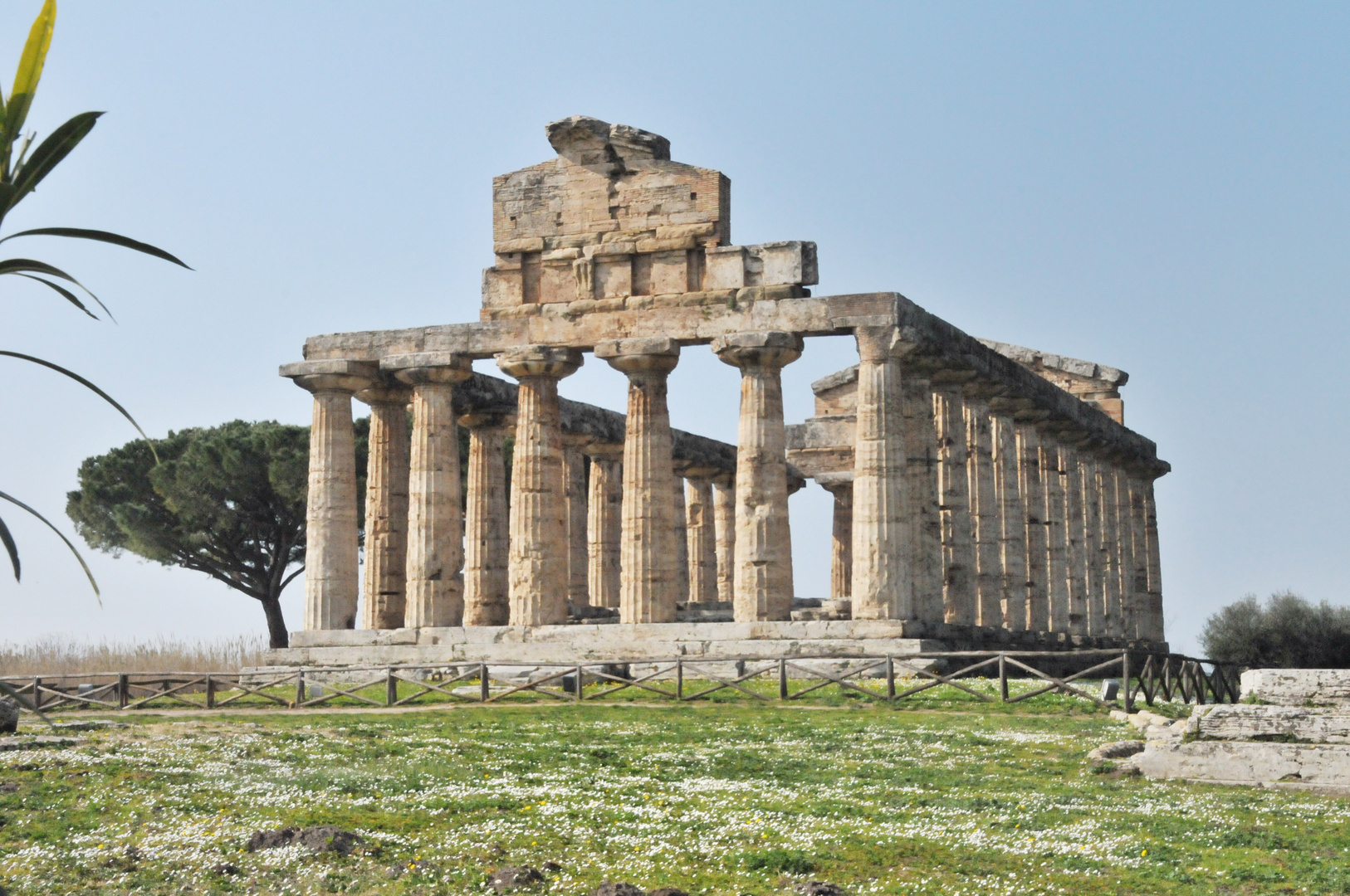Athena Tempel in Paestum