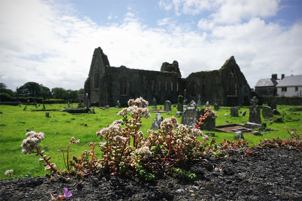 *Athenry Priory*