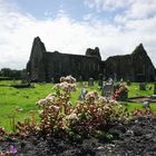 *Athenry Priory*