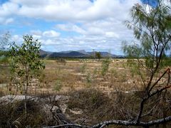 Atherton Tablelands, I