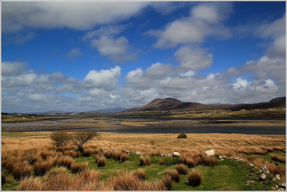 Atlantic Drive bei Glenco, Achill Island - Irland, County Mayo