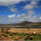 Atlantic Drive bei Glenco, Achill Island - Irland, County Mayo