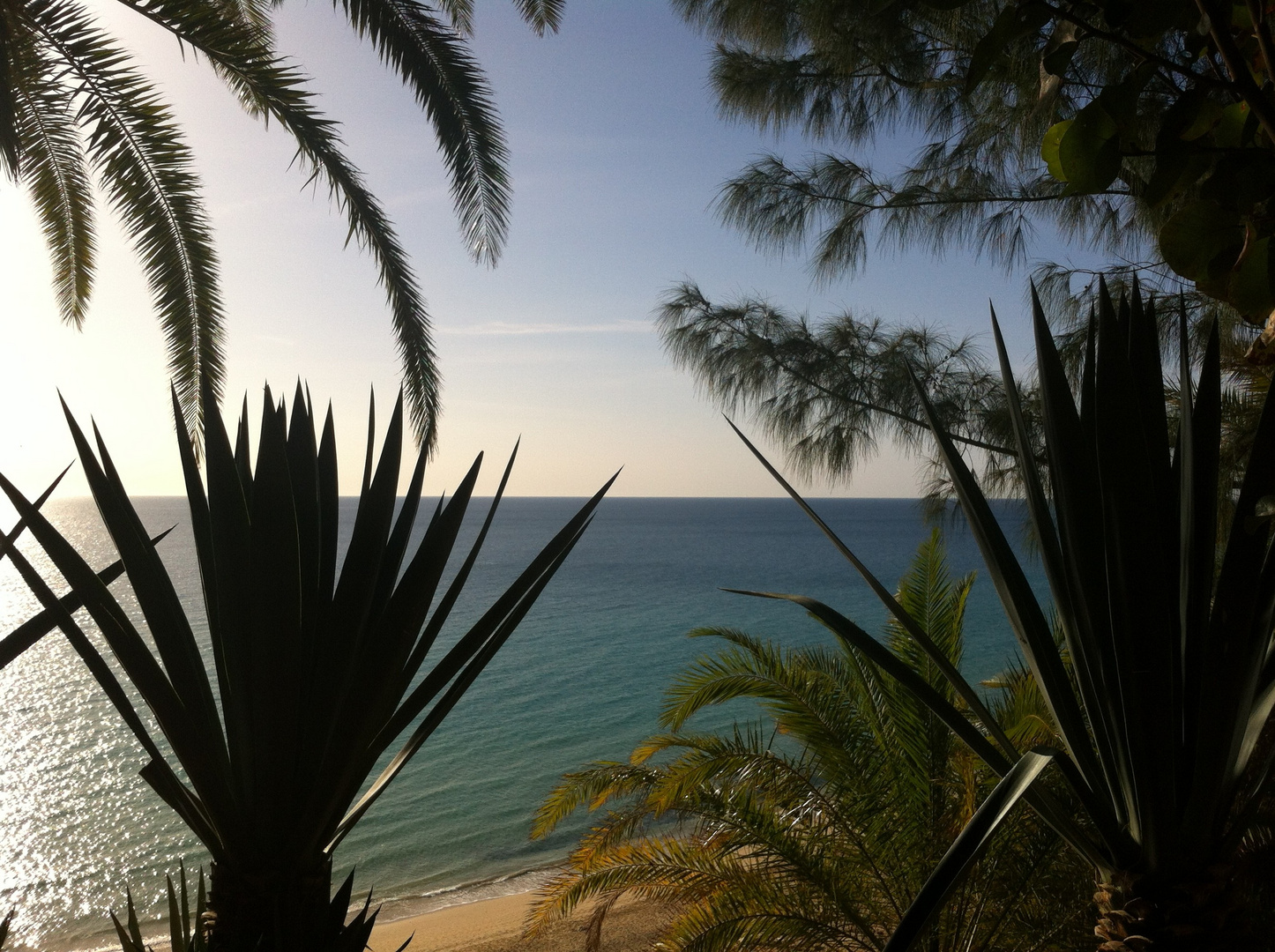 Atlantikblick (Esquinzo/Fuerteventura)