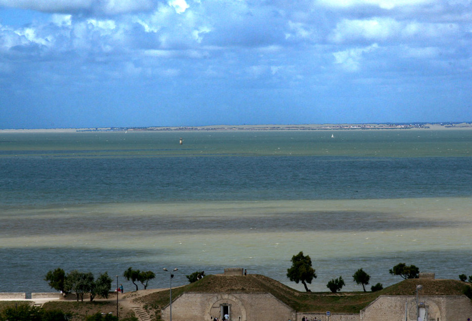 ATLANTIKKÜSTE BEI ST MARTIN DE RE