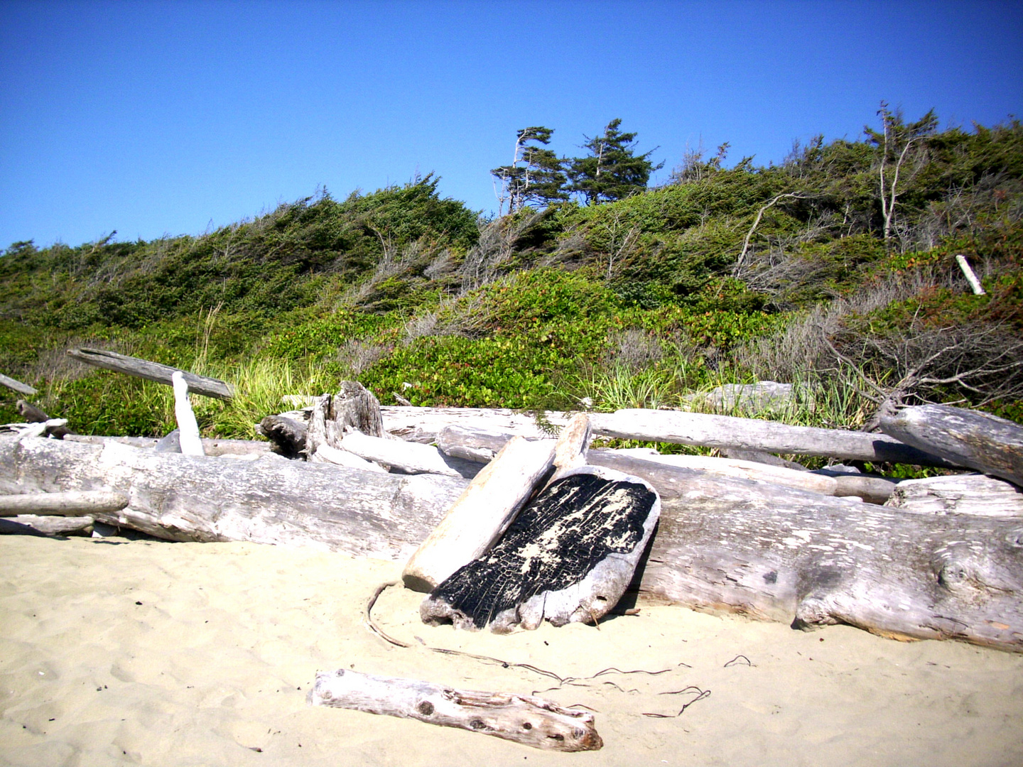 Atlantikküste bei Tofino