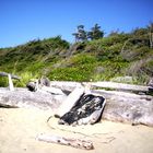 Atlantikküste bei Tofino