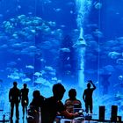 Atlantis Aquarium