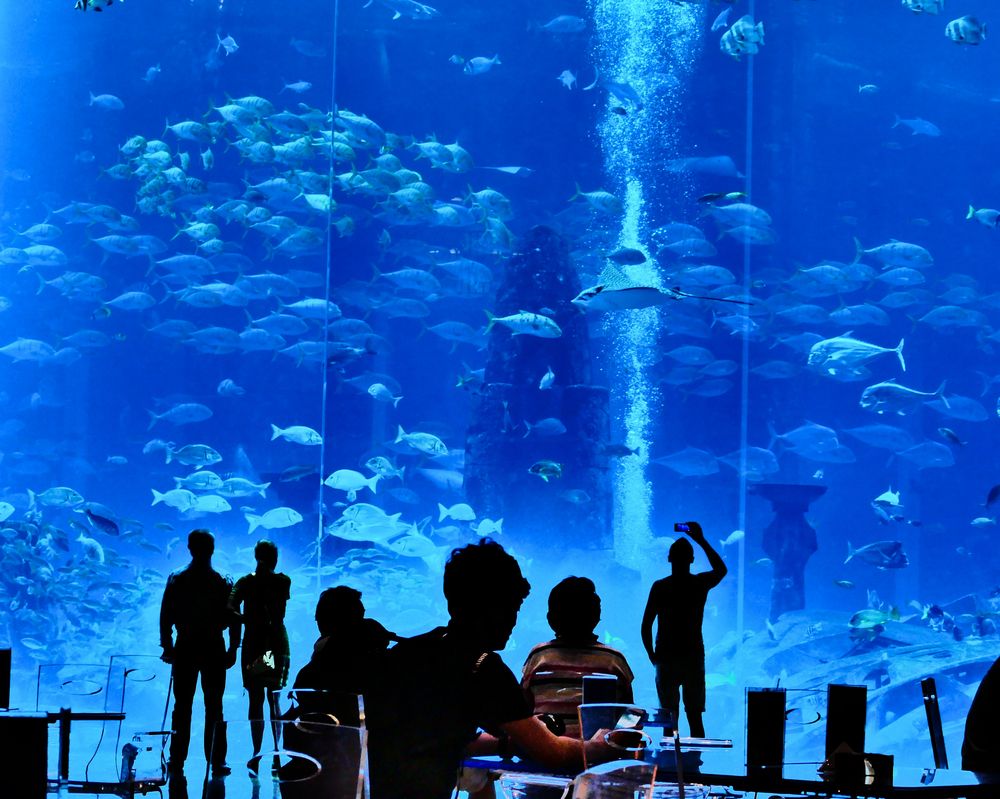 Atlantis Aquarium Foto & Bild spezial, wasser, east Bilder auf