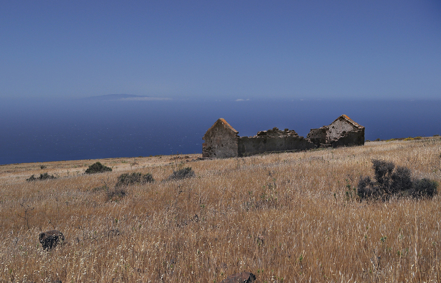 Atlantische Steppe