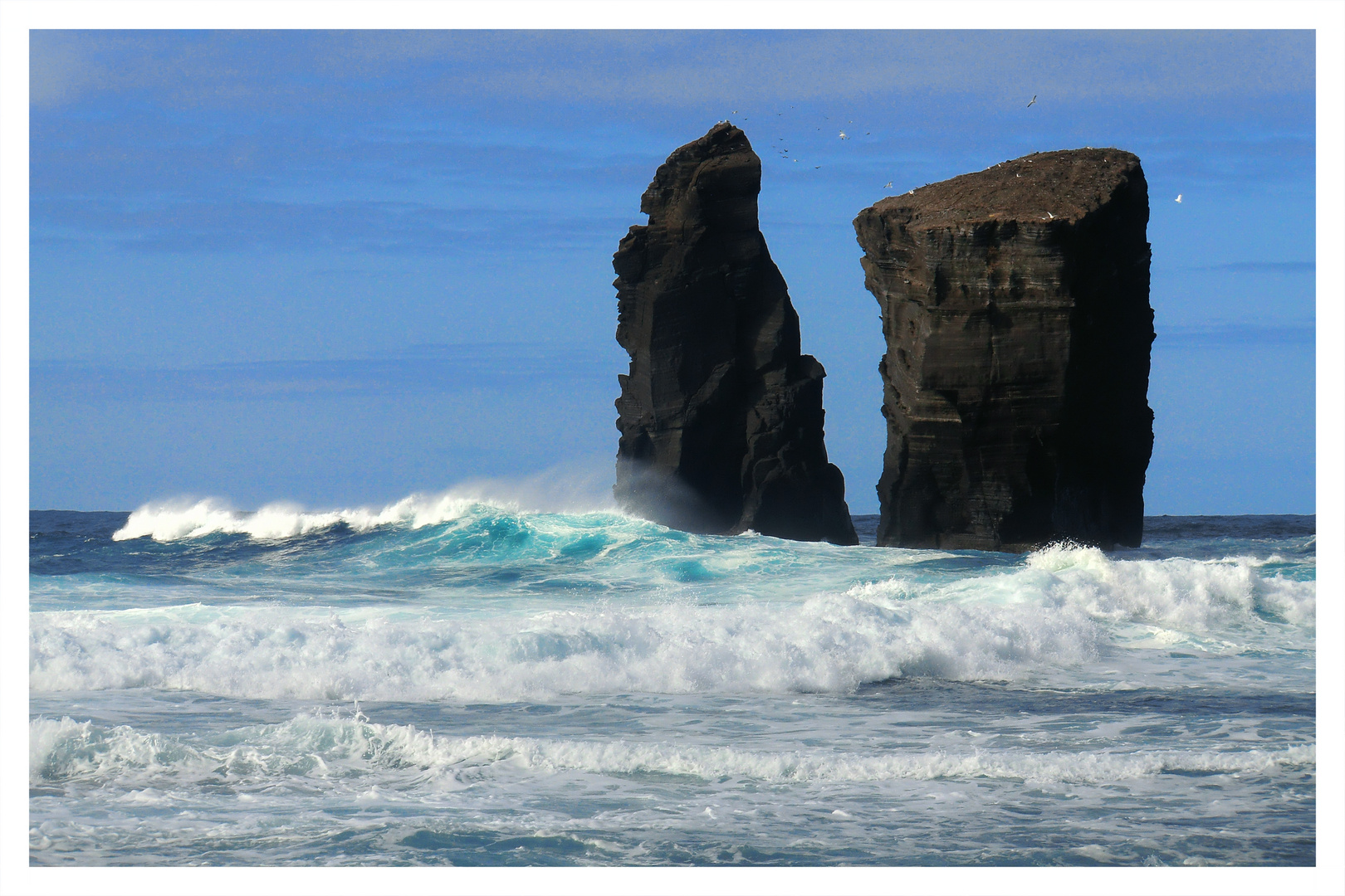 Atlantischer Durchblick