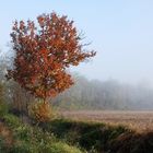 Atmosfera autunnale