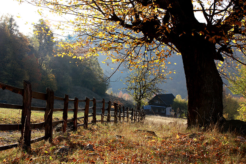 Atmosfera d' Autunno