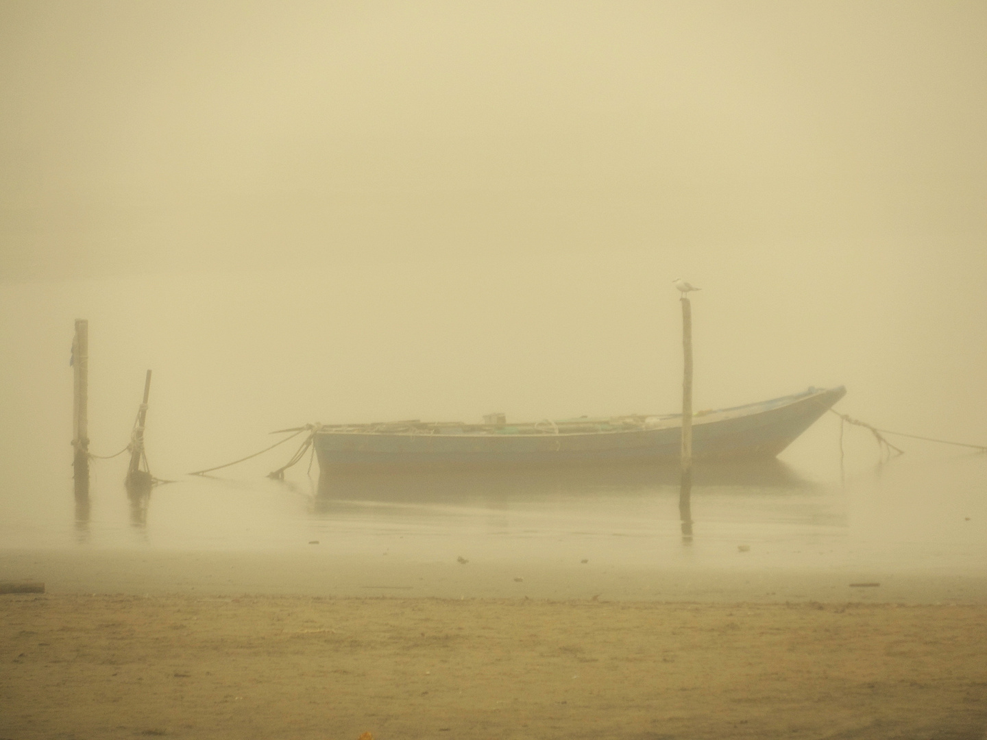 Atmosfera nella nebbia