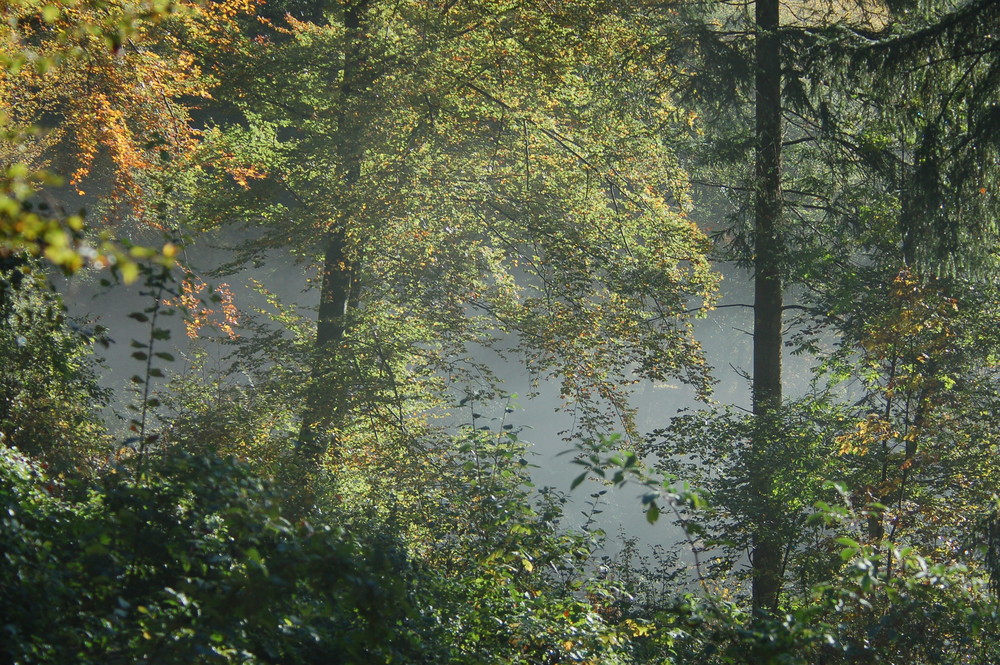 atmosfera ottobrina di Luigino Sartori