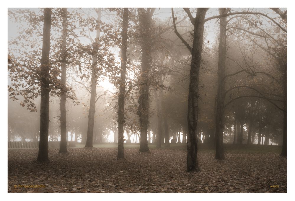 Atmosfere d'autunno #1