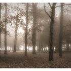 Atmosfere d'autunno #1