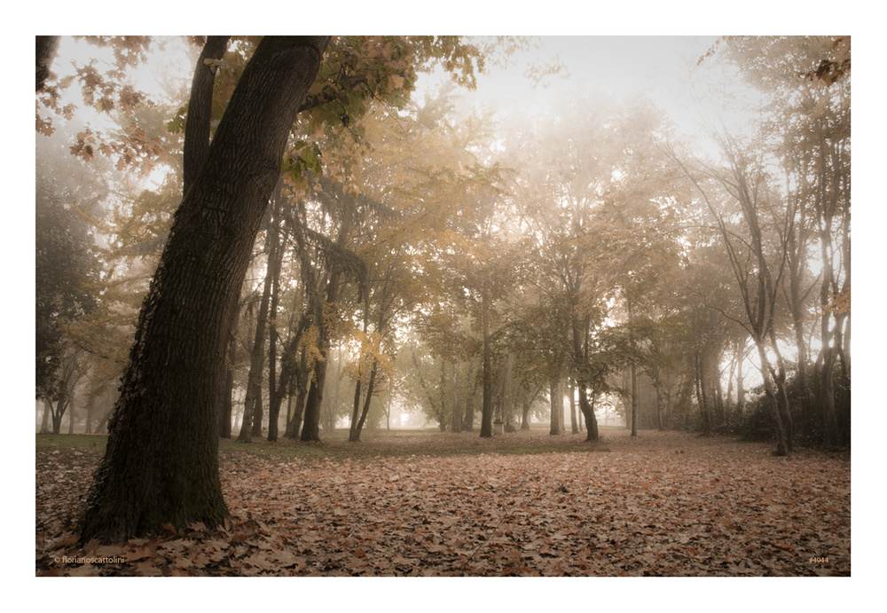 Atmosfere d'autunno #2