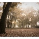 Atmosfere d'autunno #2