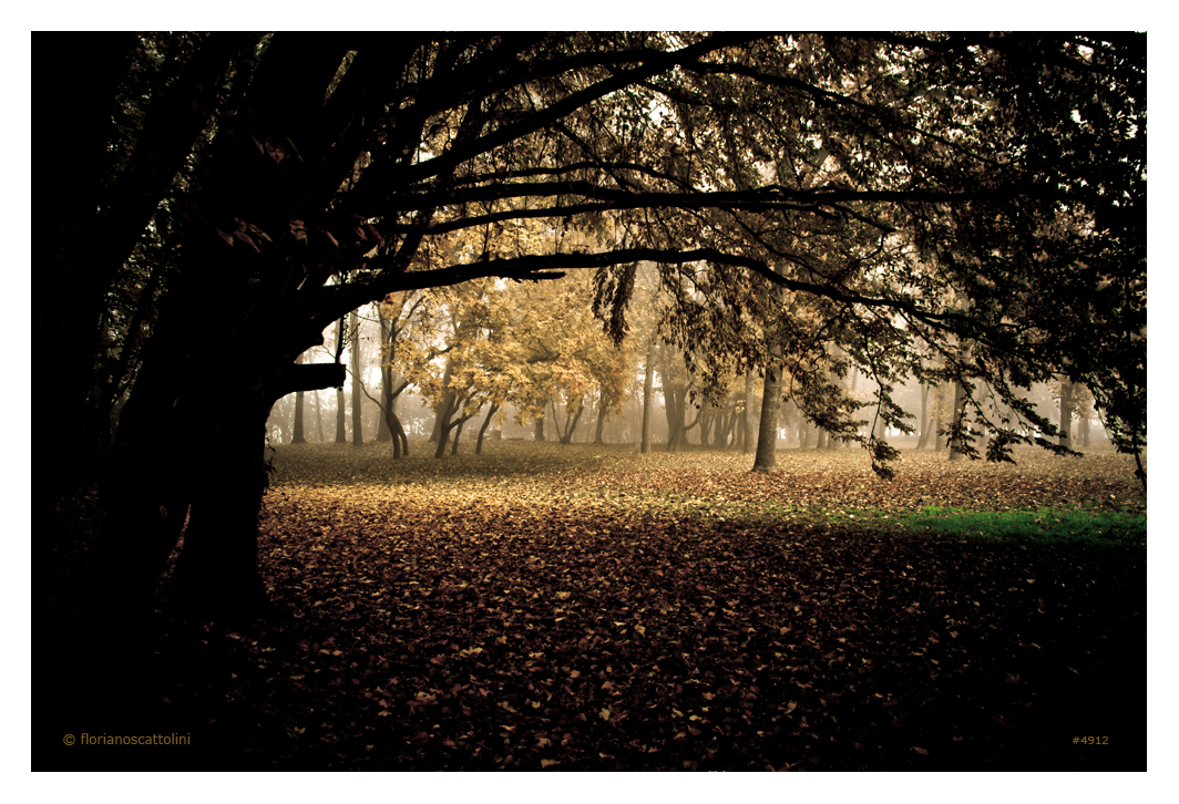 Atmosfere d'autunno #3